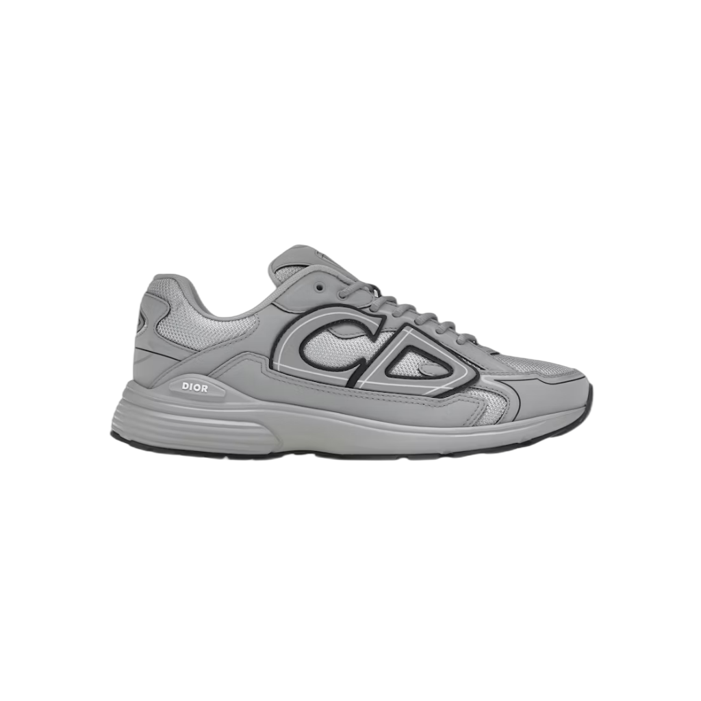 Dior B30 Gray